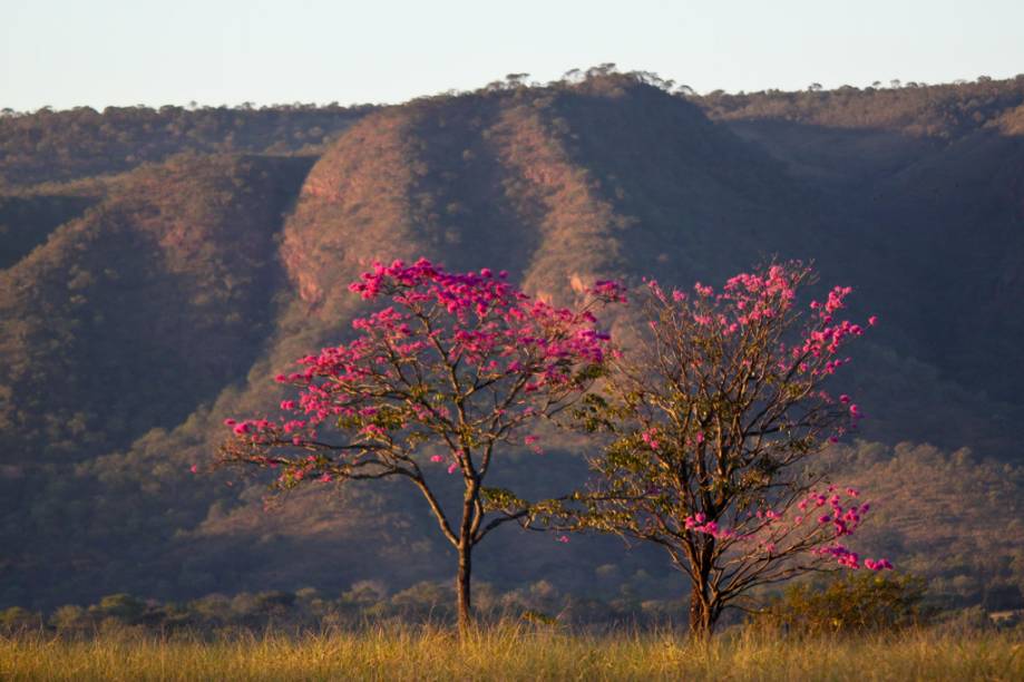 Sossegado, o <a href="https://viajeaqui.abril.com.br/estabelecimentos/br-go-caldas-novas-atracao-parque-estadual-da-serra-de-caldas-novas" rel="Parque Estadual da Serra de Caldas Novas" target="_blank">Parque Estadual da Serra de Caldas Novas</a> é um contraponto ao movimento dos clubes da cidade. Há um pequeno museu e trilhas que chegam até quedas dágua. Uma van leva ao mirante, com bela visão da região