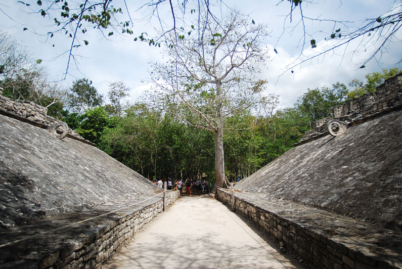 Cobá Cobá