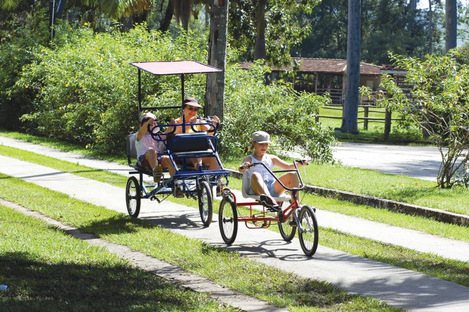 <strong><a href="https://www.mazzaropi.com.br/" target="_blank" rel="noopener">Hotel Fazenda Mazzaropi</a>, em Taubaté (SP)</strong> O lugar respira o caipirismo: tem passeios a cavalo, pomar, réplica da casinha do Jeca e até churros e pipoca no lanche da tarde. Uma programação especial no circo traz apresentações de peças infantis e o museu ilustra a história do cineasta.