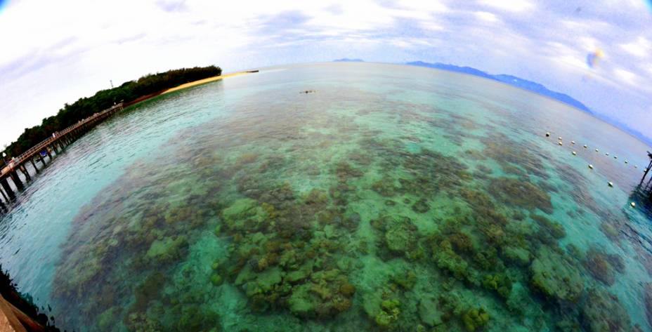 Corais em Green Island, <a href="https://viajeaqui.abril.com.br/cidades/australia-cairns" rel="Cairns" target="_blank">Cairns</a>, <a href="https://viajeaqui.abril.com.br/paises/australia" rel="Australia" target="_blank">Australia</a>