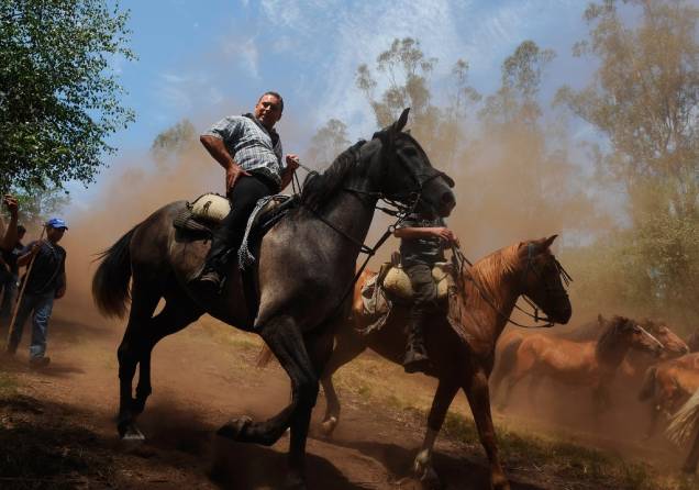 <strong>Passeio a cavalo</strong> Reviva o cowboy (ou seria índio apache?!) que vive no seu pai. Andar a cavalo é uma atividade lúdica que combina com famíias. Para os pais mais experimentados, há a travessia da Cordilheira dos Andes, próxima a Mendoza, o acompanhamento de comitivas e <a href="https://viajeaqui.abril.com.br/materias/pantanal-passeios-para-contemplar-a-natureza?foto=3#3" rel="passeios equestres no Pantanal " target="_blank">passeios equestres no Pantanal </a>ou as clássicas romarias até Aparecida do Norte. Para os iniciantes (ou com crianças pequenas), hotéis-fazenda e haras oferecem cavalgadas descontraídas, muitas vezes acompanhadas por lautos almoços preparados pelos peões.<br /> Já no ambiente urbano, escolas como a da Socieda Hípica Brasileira (<a href="https://www.shb.com.br" rel="www.shb.com.br" target="_blank">www.shb.com.br</a>), no Rio de Janeiro, oferecem cursos de adestramento.<br /> Alguns outros destinos com bons passeios campestres incluem o <a href="https://viajeaqui.abril.com.br/estabelecimentos/br-es-itaunas-atracao-parque-estadual-de-itaunas" rel="Parque Estadual de Itaúnas " target="_blank">Parque Estadual de Itaúnas </a>(Espírito Santo), as <a href="https://viajeaqui.abril.com.br/estabelecimentos/br-sp-itu-atracao-a-cavalo" rel="saídas noturnas em Itu " target="_blank">saídas noturnas em Itu </a>(São Paulo) e o <a href="https://viajeaqui.abril.com.br/estabelecimentos/br-mg-serra-do-cipo-atracao-parque-nacional-da-serra-do-cipo" rel="Parque Nacional da Serra do Cipó " target="_blank">Parque Nacional da Serra do Cipó </a>(Minas Gerais) <strong>Passeio a cavalo</strong> Reviva o cowboy (ou seria índio apache?!) que vive no seu pai. Andar a cavalo é uma atividade lúdica que combina com famíias. Para os pais mais experimentados, há a travessia da Cordilheira dos Andes, próxima a Mendoza, o acompanhamento de comitivas e <a href="https://viajeaqui.abril.com.br/materias/pantanal-passeios-para-contemplar-a-natureza?foto=3#3" rel="passeios equestres no Pantanal " target="_blank">passeios equestres no Pantanal </a>ou as clássicas romarias até Aparecida do Norte. Para os iniciantes (ou com crianças pequenas), hotéis-fazenda e haras oferecem cavalgadas descontraídas, muitas vezes acompanhadas por lautos almoços preparados pelos peões.<br /> Já no ambiente urbano, escolas como a da Socieda Hípica Brasileira (<a href="https://www.shb.com.br" rel="www.shb.com.br" target="_blank">www.shb.com.br</a>), no Rio de Janeiro, oferecem cursos de adestramento.<br /> Alguns outros destinos com bons passeios campestres incluem o <a href="https://viajeaqui.abril.com.br/estabelecimentos/br-es-itaunas-atracao-parque-estadual-de-itaunas" rel="Parque Estadual de Itaúnas " target="_blank">Parque Estadual de Itaúnas </a>(Espírito Santo), as <a href="https://viajeaqui.abril.com.br/estabelecimentos/br-sp-itu-atracao-a-cavalo" rel="saídas noturnas em Itu " target="_blank">saídas noturnas em Itu </a>(São Paulo) e o <a href="https://viajeaqui.abril.com.br/estabelecimentos/br-mg-serra-do-cipo-atracao-parque-nacional-da-serra-do-cipo" rel="Parque Nacional da Serra do Cipó " target="_blank">Parque Nacional da Serra do Cipó </a>(Minas Gerais)