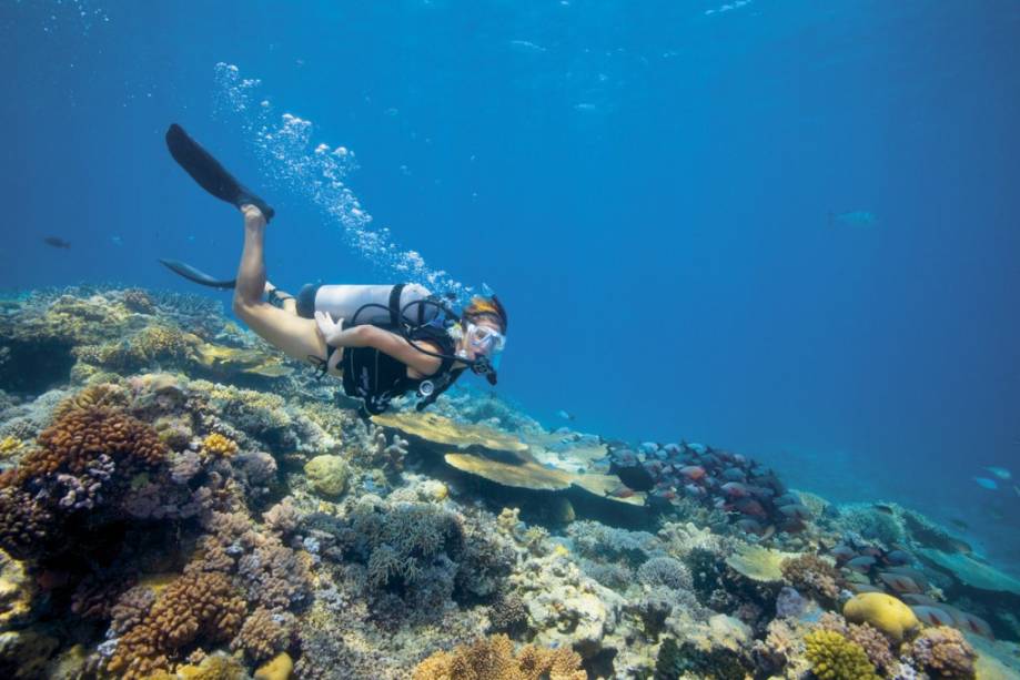 O mergulho em Lizard Island, ao norte de Cairns, é uma das atividades para quem se hospeda em hotéis dos Luxury Lodges of Australia