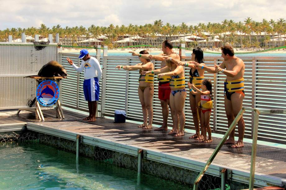 Show com leões-marinhos no Dolphin Island Park