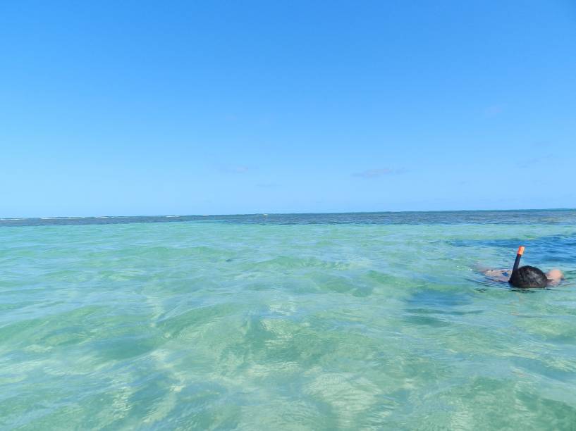 Snorkel é ferramenta indispensável para explorar as piscinas do Patacho, só tome cuidado com os ouriços-do-mar