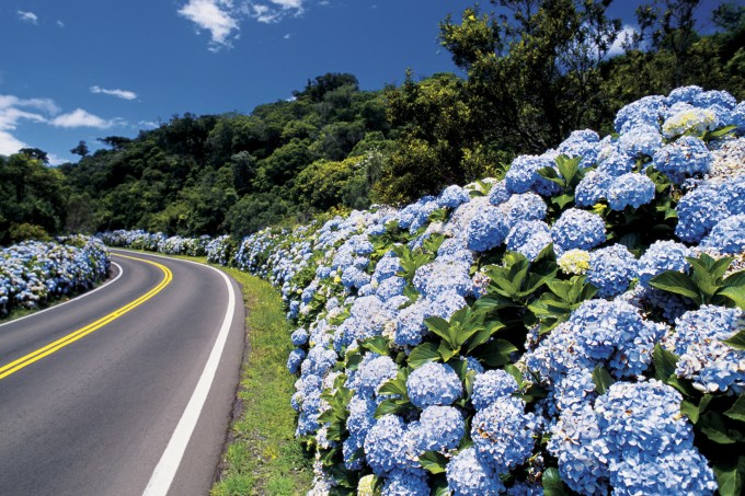 Paisagem da estrada que vai para Gramado, Rio Grande do Sul