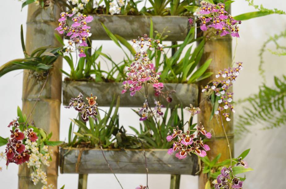 Para atender o público consumidor,as flores, plantas e morangos são comercializados diretamente dos produtores, com produtos frescos e selecionados