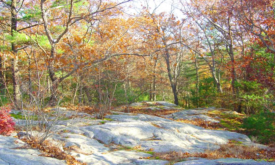 <strong>15. Floresta Estatal Freetown Fall River, <a href="https://viajeaqui.abril.com.br/paises/estados-unidos" rel="Estados Unidos" target="_self">Estados Unidos</a></strong> Com uma área de 518 km², essa floresta ocupa uma parte do Triângulo de Bridgewater, ao sudeste de Massachussets. Conta-se que durante a ocupação dos ingleses, os povos nativos tiveram de abandonar a floresta, deixando para trás cemitérios ocultos. Nos anos 1970, o local foi palco de rituais satânicos e assassinatos. Moradores da região alegam que corpos de vítimas foram enterrados ali. Hoje, quem se aventura pelo local jura sentir a manifestação de fenômenos sobrenaturais, tais como óvnis e bolas de fogo. <strong>15. Floresta Estatal Freetown Fall River, <a href="https://viajeaqui.abril.com.br/paises/estados-unidos" rel="Estados Unidos" target="_self">Estados Unidos</a></strong> Com uma área de 518 km², essa floresta ocupa uma parte do Triângulo de Bridgewater, ao sudeste de Massachussets. Conta-se que durante a ocupação dos ingleses, os povos nativos tiveram de abandonar a floresta, deixando para trás cemitérios ocultos. Nos anos 1970, o local foi palco de rituais satânicos e assassinatos. Moradores da região alegam que corpos de vítimas foram enterrados ali. Hoje, quem se aventura pelo local jura sentir a manifestação de fenômenos sobrenaturais, tais como óvnis e bolas de fogo.