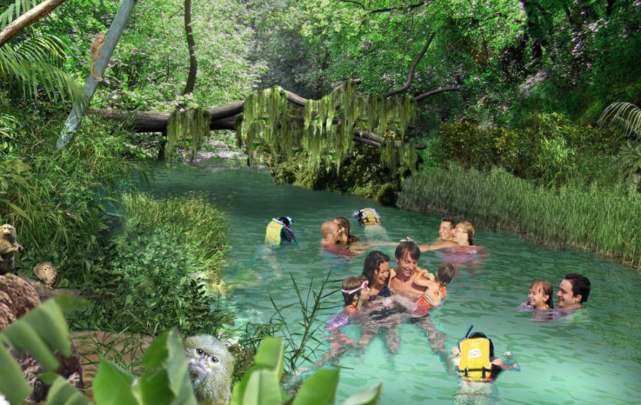 <strong>Freshwater Oasis</strong>, no Discovery Cove: lontras e saguis no meio do caminho 