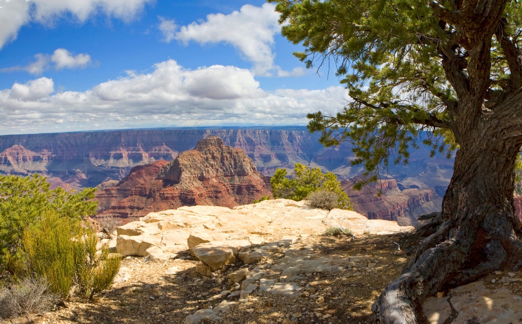 Grand Canyon North Rim Grand Canyon North Rim
