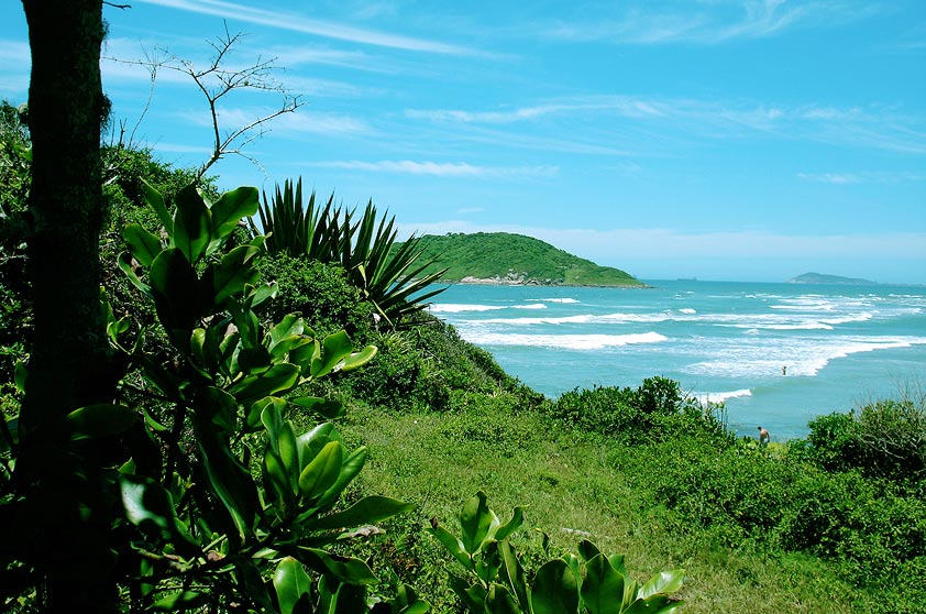 <strong>5. Praia do Luz, Imbituba</strong> Ao norte da praia, um morro a separa da <a href="https://preprod.viagemeturismo.abril.com.br/cidades/praia-do-rosa-7/" target="_blank" rel="noopener">Praia do Rosa</a>. Se quiser ir a pé, prepare a mochila, o protetor solar e o tênis: a caminhada dura 1h30. <strong></strong><a href="https://www.booking.com/searchresults.pt-br.html?aid=332455&lang=pt-br&sid=eedbe6de09e709d664615ac6f1b39a5d&sb=1&src=index&src_elem=sb&error_url=https%3A%2F%2Fwww.booking.com%2Findex.pt-br.html%3Faid%3D332455%3Bsid%3Deedbe6de09e709d664615ac6f1b39a5d%3Bsb_price_type%3Dtotal%26%3B&ss=Praia+da+Luz%2C+Praia+do+Rosa%2C+Santa+Catarina%2C+Brasil&checkin_monthday=&checkin_month=&checkin_year=&checkout_monthday=&checkout_month=&checkout_year=&no_rooms=1&group_adults=2&group_children=0&from_sf=1&ss_raw=Praia+do+Luz+&ac_position=0&ac_langcode=xb&dest_id=256036&dest_type=landmark&search_pageview_id=e2116e3db8050545&search_selected=true&map=1#map_opened" target="_blank" rel="noopener"><em>Busque hospedagens na Praia do Luz no Booking.com</em></a>