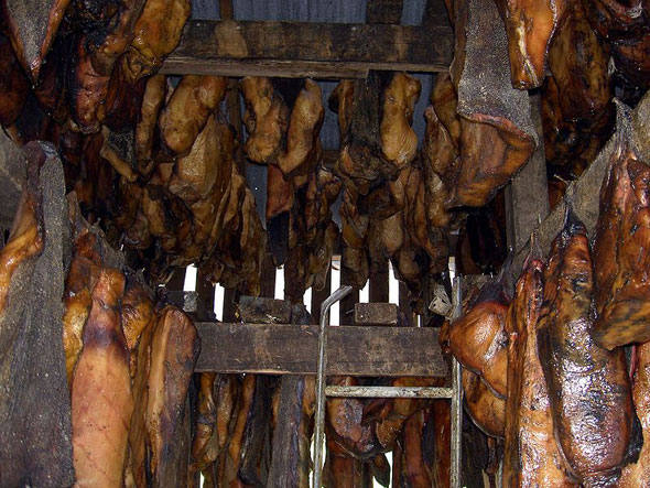 O trabalhoso processo de preparo da carne do tubarão-da-Groenlândia, prato da culinária islandesa, tem sua razão de ser, apesar de parecer nojento. Originalmente, esse animal é venenoso (por concentrar muito ácido úrico) e, para que se torne comestível, ele deve ser enterrado para apodrecer entre seis e 12 semanas, e, depois, pendurado para secar de dois a quatro meses. Ele já está pronto para consumo após ser retirada a crosta de cor marrom-avermelhada que se forma em volta do animal. Geralmente, a carne é cortada em cubos, como tira-gosto, e acompanhada de aguardente. Mesmo sem restar nenhum veneno, o cheiro de amoníaco ainda é intenso, na hora de comer. Por isso, o consumo dessa carne é comum entre as pessoas que têm estômago forte.