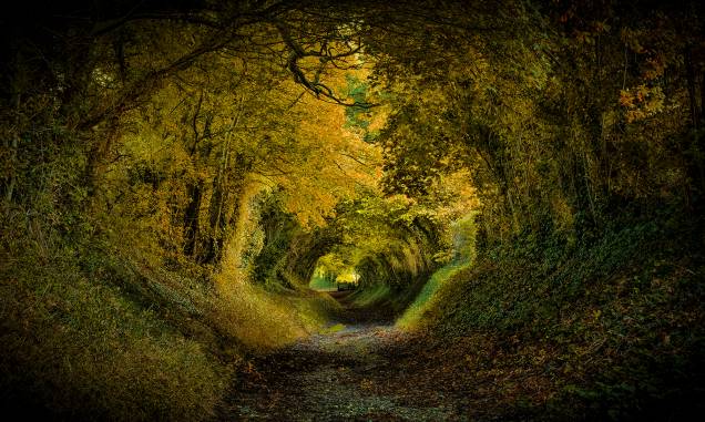 <strong>8. Túnel de Halnaker, West Sussex, <a href="https://viajeaqui.abril.com.br/paises/reino-unido?iframe=true" rel="Reino Unido" target="_self">Reino Unido</a></strong> A aldeia inglesa que abriga essa pequena floresta já é um charme só, com paisagens bucólicas e um moinho de vento. No entanto, é nesse túnel que se concentra a fama do lugar, com um cenário tão bonito quanto romântico. Para alguns, a impressão que se dá ao observá-lo é a de que um príncipe vai surgir em um cavalo branco a qualquer momento. Para outros, o lugar seria perfeito para abrigar as aventuras de hobbits como Bilbo Bolseiro, que poderia vir seguido por anões montados em pôneis. Seja qual for a escolha, não dá pra negar que a visão é bem mágica. <strong>8. Túnel de Halnaker, West Sussex, <a href="https://viajeaqui.abril.com.br/paises/reino-unido?iframe=true" rel="Reino Unido" target="_self">Reino Unido</a></strong> A aldeia inglesa que abriga essa pequena floresta já é um charme só, com paisagens bucólicas e um moinho de vento. No entanto, é nesse túnel que se concentra a fama do lugar, com um cenário tão bonito quanto romântico. Para alguns, a impressão que se dá ao observá-lo é a de que um príncipe vai surgir em um cavalo branco a qualquer momento. Para outros, o lugar seria perfeito para abrigar as aventuras de hobbits como Bilbo Bolseiro, que poderia vir seguido por anões montados em pôneis. Seja qual for a escolha, não dá pra negar que a visão é bem mágica.