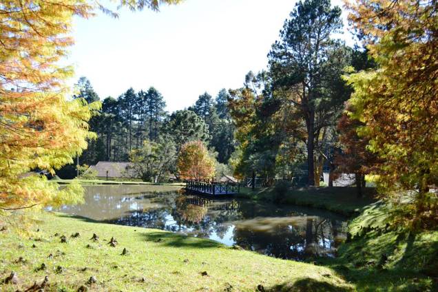 Paisagem do Parque Estadual de Campos do Jordão, conhecido como Horto Florestal Paisagem do Parque Estadual de Campos do Jordão, conhecido como Horto Florestal
