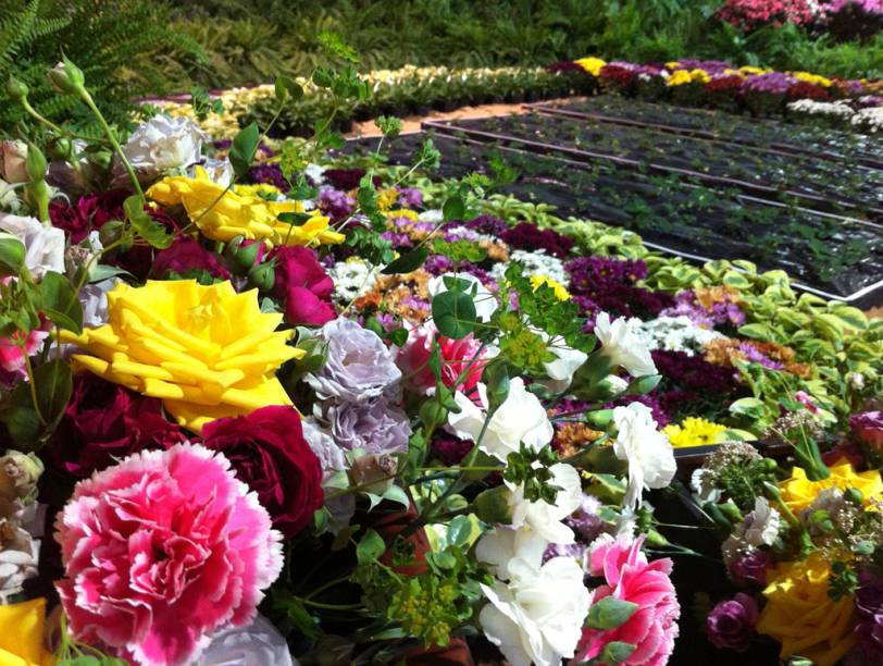 Arranjo de flores na Festa de Flores e Morangos de Atibaia, em São Paulo