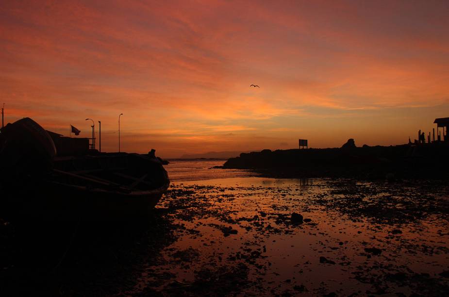 <strong>Agrupación de Turismo Delfines - Caleta Chañaral de Aceituno, <a href="https://viajeaqui.abril.com.br/paises/chile" rel="Chile" target="_blank">Chile</a></strong>            “Acordávamos aos sons das gaivotas, das ondas do mar e do vento. Era uma sensação tocante. As pessoas foram um caso a parte. Praticamente todos os dias éramos convidados a fazer as refeição na casa de um. Ficávamos horas e horas ouvindo as histórias da Caleta e falando sobre nós e nossos planos.”