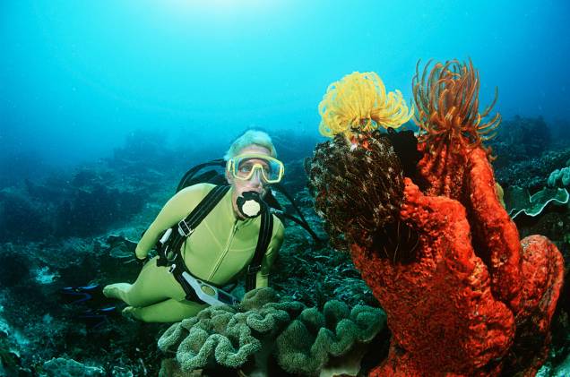 <a href="https://viajeaqui.abril.com.br/paises/indonesia" rel="Indonésia" target="_blank"><strong>Indonésia</strong></a>Como o maior arquipélago do mundo, que ocupa parte do continente da <a href="https://viajeaqui.abril.com.br/continentes/asia" rel="Ásia" target="_blank">Ásia</a> e da <a href="https://viajeaqui.abril.com.br/continentes/oceania" rel="Oceania" target="_blank">Oceania</a>, não poderia ficar fora da lista de destinos preferidos dos mergulhadores. As mais de 17 mil ilhas do país são banhadas por águas ricas em vida subaquática, com mais de 3 mil espécies de peixes e cerca de 600 de corais. Golfinhos, baleias-piloto, arraias e até um vulcão submarino são atrações durante o mergulho. A Indonésia conta com cerca de 500 pontos de mergulho, entre os mais famosos, estão Raja Ampat, Ilhas Banda, Sulawesi, Komodo e <a href="https://viajeaqui.abril.com.br/cidades/indonesia-bali" rel="Bali" target="_blank">Bali</a>. Bunaken, em Sulawesi (uma das áreas mais famosas), é cercada de águas cristalinas. Já Banda combinam a variedade de peixes de recife com corais rígidos e esponjas. Em Komodo, os visitantes podem encontrar tanto os lendários dragões, como recifes cheios de cores, arraias, golfinhos e dugongs (mamíferos parecidos com os nossos peixes-boi). A ilha mais famosa do arquipélago, Bali, tem opção de mergulhos de praia e contato com tubarões de recife. Mas os mergulhadores não viajam à Indonésia apenas para ter contato com o ecossistema da região: muitos são atraídos por riquezas de navios naufragados ali. A temperatura da água na Indonésia varia entre 19°C e 30°C e a melhor época para visitar a região é entre abril e dezembro. A língua oficial do país é o indonésio e a moeda é a rupia indonésia. <a href="https://viajeaqui.abril.com.br/paises/indonesia" rel="Indonésia" target="_blank"><strong>Indonésia</strong></a>Como o maior arquipélago do mundo, que ocupa parte do continente da <a href="https://viajeaqui.abril.com.br/continentes/asia" rel="Ásia" target="_blank">Ásia</a> e da <a href="https://viajeaqui.abril.com.br/continentes/oceania" rel="Oceania" target="_blank">Oceania</a>, não poderia ficar fora da lista de destinos preferidos dos mergulhadores. As mais de 17 mil ilhas do país são banhadas por águas ricas em vida subaquática, com mais de 3 mil espécies de peixes e cerca de 600 de corais. Golfinhos, baleias-piloto, arraias e até um vulcão submarino são atrações durante o mergulho. A Indonésia conta com cerca de 500 pontos de mergulho, entre os mais famosos, estão Raja Ampat, Ilhas Banda, Sulawesi, Komodo e <a href="https://viajeaqui.abril.com.br/cidades/indonesia-bali" rel="Bali" target="_blank">Bali</a>. Bunaken, em Sulawesi (uma das áreas mais famosas), é cercada de águas cristalinas. Já Banda combinam a variedade de peixes de recife com corais rígidos e esponjas. Em Komodo, os visitantes podem encontrar tanto os lendários dragões, como recifes cheios de cores, arraias, golfinhos e dugongs (mamíferos parecidos com os nossos peixes-boi). A ilha mais famosa do arquipélago, Bali, tem opção de mergulhos de praia e contato com tubarões de recife. Mas os mergulhadores não viajam à Indonésia apenas para ter contato com o ecossistema da região: muitos são atraídos por riquezas de navios naufragados ali. A temperatura da água na Indonésia varia entre 19°C e 30°C e a melhor época para visitar a região é entre abril e dezembro. A língua oficial do país é o indonésio e a moeda é a rupia indonésia.