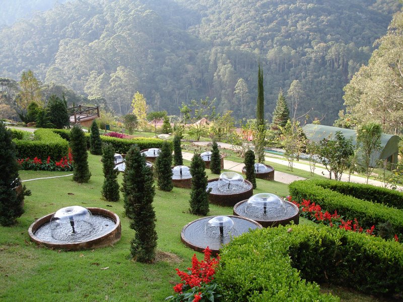 Um dos projetos paisagísticos do Jardins dos Pinhais, um dos passeios mais instagramáveis de Santo Antônio do Pinhal