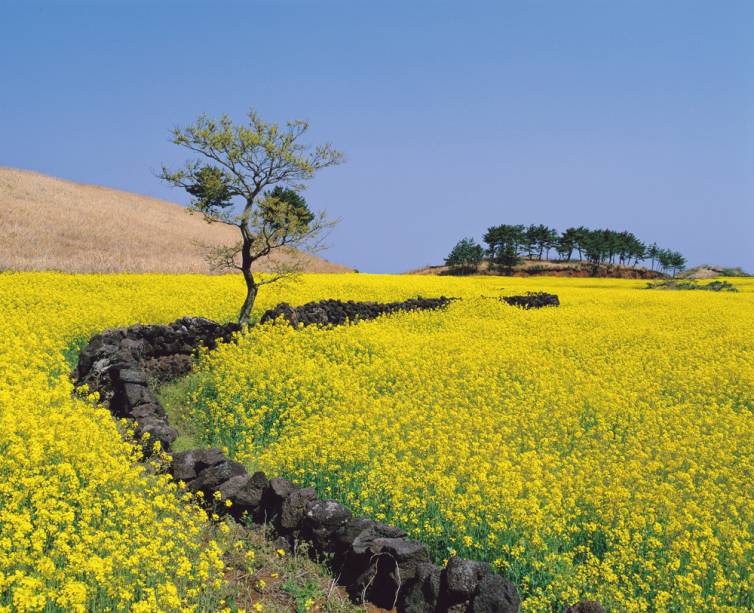 Yeosu, Coreia do Sul