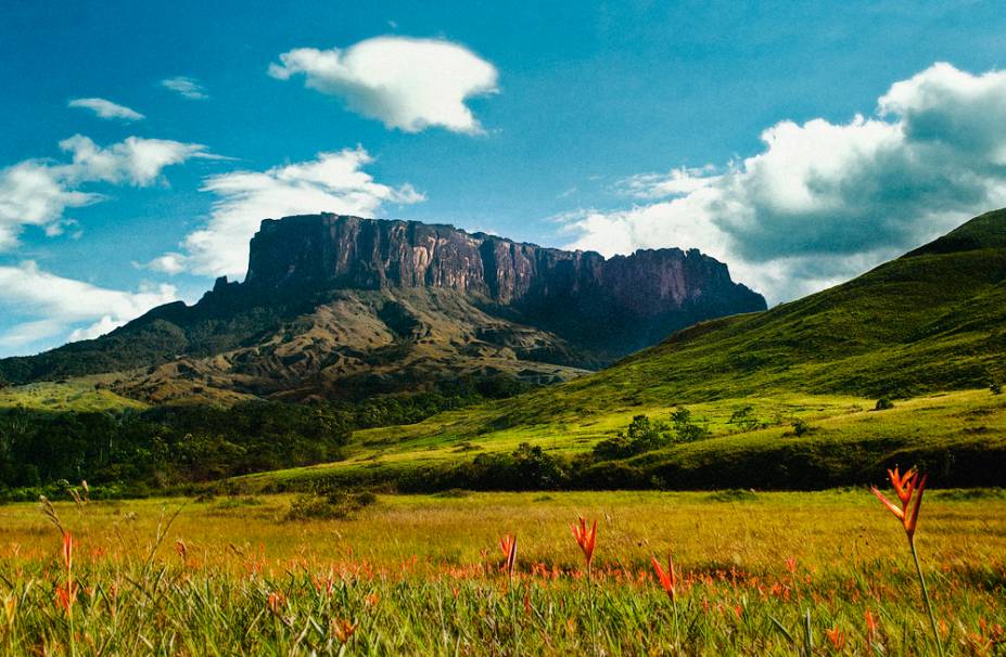 <strong>Kukenan Tepuy, Venezuela</strong> No alto das formações conhecidas como Tepuy encontram-se fantásticas formações geológicas que inspiraram de Arthur Conan Doyle aos animadores do longa <em>Up! <a href="https://www.booking.com/searchresults.pt-br.html?aid=332455&lang=pt-br&sid=eedbe6de09e709d664615ac6f1b39a5d&sb=1&src=searchresults&src_elem=sb&error_url=https%3A%2F%2Fwww.booking.com%2Fsearchresults.pt-br.html%3Faid%3D332455%3Bsid%3Deedbe6de09e709d664615ac6f1b39a5d%3Bclass_interval%3D1%3Bdest_id%3D224%3Bdest_type%3Dcountry%3Bdtdisc%3D0%3Bgroup_adults%3D2%3Bgroup_children%3D0%3Binac%3D0%3Bindex_postcard%3D0%3Blabel_click%3Dundef%3Bno_rooms%3D1%3Boffset%3D0%3Bpostcard%3D0%3Braw_dest_type%3Dcountry%3Broom1%3DA%252CA%3Bsb_price_type%3Dtotal%3Bsearch_selected%3D1%3Bsrc%3Dindex%3Bsrc_elem%3Dsb%3Bss%3DEstados%2520Unidos%3Bss_all%3D0%3Bss_raw%3DEstados%2520Unidos%3Bssb%3Dempty%3Bsshis%3D0%3Bssne_untouched%3DIlhabela%26%3B&ss=Venezuela&ssne=Estados+Unidos&ssne_untouched=Estados+Unidos&checkin_monthday=&checkin_month=&checkin_year=&checkout_monthday=&checkout_month=&checkout_year=&no_rooms=1&group_adults=2&group_children=0&highlighted_hotels=&from_sf=1&ss_raw=Venezue&ac_position=0&ac_langcode=xb&dest_id=229&dest_type=country&search_pageview_id=88ec7207af8e04fa&search_selected=true&search_pageview_id=88ec7207af8e04fa&ac_suggestion_list_length=5&ac_suggestion_theme_list_length=0" target="_blank" rel="noopener">Busque hospedagens na Venezuela no Booking.com</a></em>