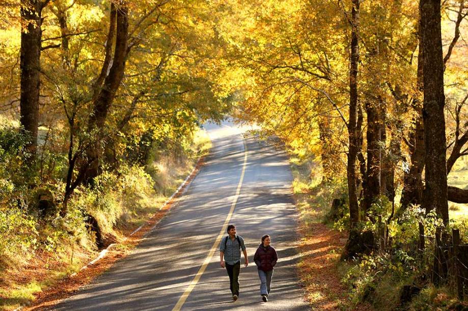 Pucón é um destino para todo o ano, com boas caminhadas de outubro a maio e esqui na temporada de inverno