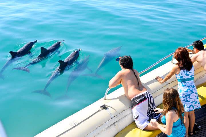 <strong>2. Passeio de lancha em Búzios</strong>O passeio contorna a península de Búzios, com paradas nas praias de Ferradura, João Fernandes, Tartaruga e Ilha Feia. Embarca-se no píer central, entre as praias do Canto e da Armação. O programa todo dura aproximadamente 4 horas, e o pacote inclui água, refrigerante e caipirinha na embarcação. <a href="https://libertasturismo.com.br" rel="Agência Libertas" target="_blank">Agência Libertas</a>, 22/2623-6410. <strong>2. Passeio de lancha em Búzios</strong>O passeio contorna a península de Búzios, com paradas nas praias de Ferradura, João Fernandes, Tartaruga e Ilha Feia. Embarca-se no píer central, entre as praias do Canto e da Armação. O programa todo dura aproximadamente 4 horas, e o pacote inclui água, refrigerante e caipirinha na embarcação. <a href="https://libertasturismo.com.br" rel="Agência Libertas" target="_blank">Agência Libertas</a>, 22/2623-6410.