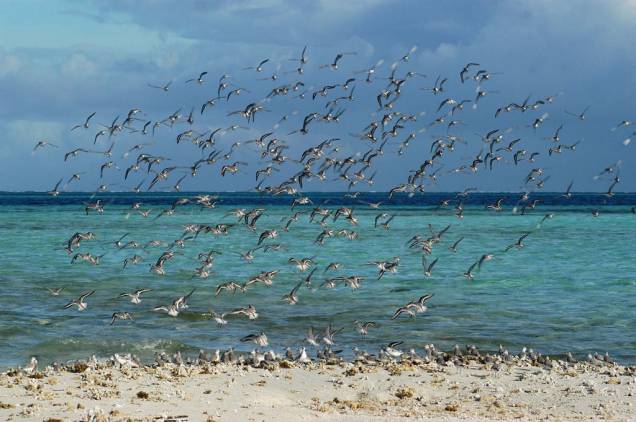 Los Roques, Venezuela Los Roques, Venezuela