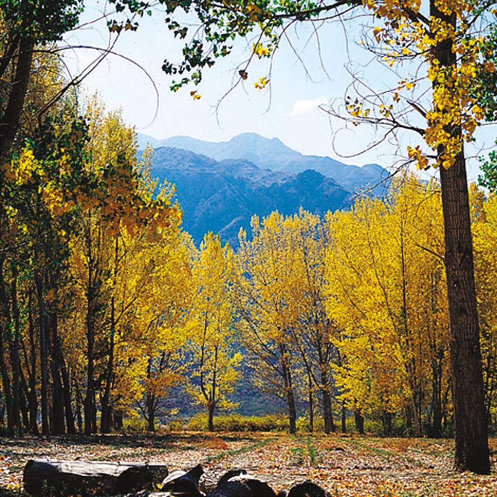 Lujan de Cuyo Potrerillos Mendoza Argentina