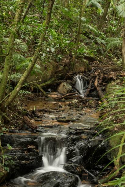 <strong>6. Reservas da Mata Atlântica do Sul e Sudeste</strong>A região tombada em 1999 contempla reservas dos estados de <a href="https://viajeaqui.abril.com.br/estados/br-sao-paulo" target="_blank" rel="noopener">São Paulo</a> e do Paraná. Morretes, por exemplo, é um dos lugares que guarda os tesouros da Mata Atlântica, que inclui montanhas, florestas densas, ilhas e até dunas. No total, são 25 áreas protegidas, totalizando 47 mil hectares. A área faz parte da região da Serra do Mar e inclui mais de trezentos tipos de cavernas, entre as quais destaca-se a Casa de Pedra com o maior pórtico do planeta, com seus 215 metros de altura