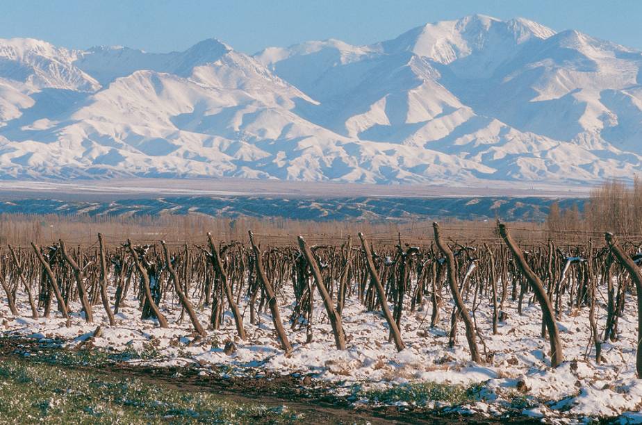 <strong>Mendoza (Argentina): </strong><br />      Poucos lugares do mundo têm tantas opções para tomar um bom vinho no inverno do que <a href="https://viajeaqui.abril.com.br/cidades/ar-mendoza" rel="Mendoza" target="_blank">Mendoza</a>. Com mais de <a href="https://viajeaqui.abril.com.br/estabelecimentos/ar-mendoza-atracao-vinicolas-de-mendoza" rel="1200 vinícolas">1200 vinícolas</a>, caseira e industrais produzindo 10 milhões de hectolitros anuais, a região fixou-se como um destino ideal para quem gosta da bebida e também de neve.<br />      A autointitulada <em>Terra do Sol e do Bom Vinho </em>também é conhecida pelo <a href="https://viajeaqui.abril.com.br/estabelecimentos/ar-mendoza-atracao-tour-de-alta-montanha" rel="Cerro Aconcágua">Cerro Aconcágua</a>, a mais alta montanha do planeta fora da Ásia, cujos títulos como <em>Sentinela de Pedra </em>e <em>Teto das Américas </em>fazem jus aos seus imponentes 6.962 metros de altura. Conquistar seu cume é para poucos, mas apreciá-lo a partir do <a href="https://viajeaqui.abril.com.br/estabelecimentos/ar-mendoza-atracao-parque-provincial-aconcagua" rel="Parque Provincial Aconcágua">Parque Provincial Aconcágua</a>, em terreno bem firme, já é suficiente para deslumbrar os visitantes