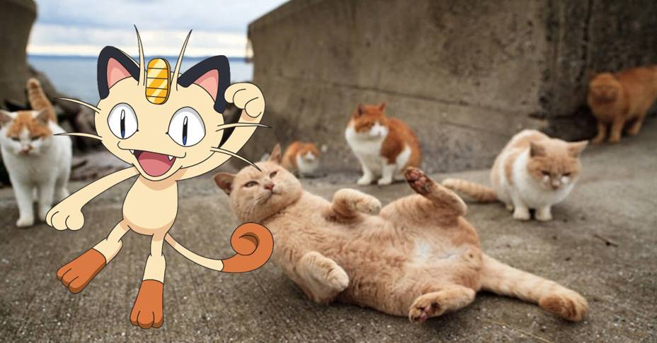 <strong>MEOWTH: <a href="https://viajeaqui.abril.com.br/cidades/japao-fukuoka" rel="ILHA DE FUKUOKA" target="_blank">ILHA DE FUKUOKA</a> (<a href="https://viajeaqui.abril.com.br/paises/japao" rel="JAPÃO">JAPÃO</a>)</strong>Apesar de no desenho ele ser parte da equipe de vilões, o Meowth tem muito carisma – para começar, o bichano tem a possibilidade de conseguir desenvolver a fala. O problema é que essa coisa de falar pode deixar ele muito próximo de seres humanos e distante de seus parentes felinos. Um recanto para esses pokémons com certeza seria a ilha de Fukuoka, no Japão, um lugar tomado por centenas de gatos alimentados pelos pescadores locais. Os animais vivem livres vagando pelos arredores e seriam uma boa nova equipe para o Meowth da Equipe Rocket e para todos os outros