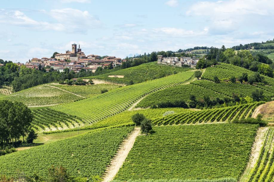 <strong>Piemonte, <a href="https://viajeaqui.abril.com.br/paises/italia" target="_self">Itália</a></strong>Marcada por cidades medievais e uma gastronomia de primeira, a região do Piemonte tem cenários espetaculares e inesquecíveis. A cultura dos vinhos é muito forte por aqui e foi disseminada ao redor do globo, sendo considerada uma das mais importantes do mundo. O vinho Barolo, popularmente conhecido como o "rei dos vinhos", é considerado seu grande trunfo, marcado por um sabor vigoroso<em><a href="https://www.booking.com/region/it/piemonte.pt-br.html?aid=332455&label=viagemabril-vinicolas-da-europa" target="_blank" rel="noopener">Veja preços de hotéis no Piemonte no Booking.com</a></em>