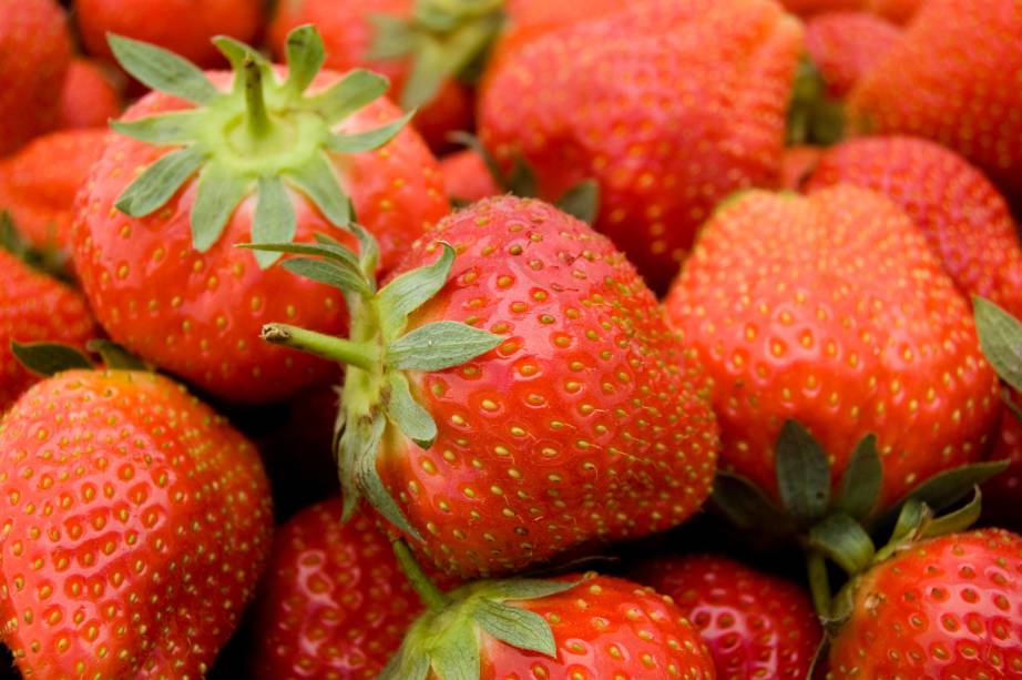 Produtores apresentarão seus trabalhos na Festa de Flores e Morangos de Atibaia, em São Paulo