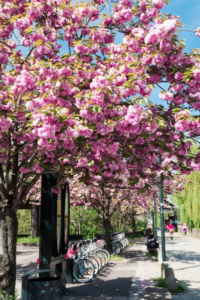 <strong>Nantes</strong>            Considerada a capital verde europeia, Nantes fica na região do País de Loire e agencia vários projetos de conscientização ambiental e iniciativas ecológicas, como a redução do número de carros no centro da cidade. Mas isso tudo não vem de hoje. Seu passado está intimamente ligado à questão natural, já que uma das atividades econômicas mais importantes do município é a agricultura