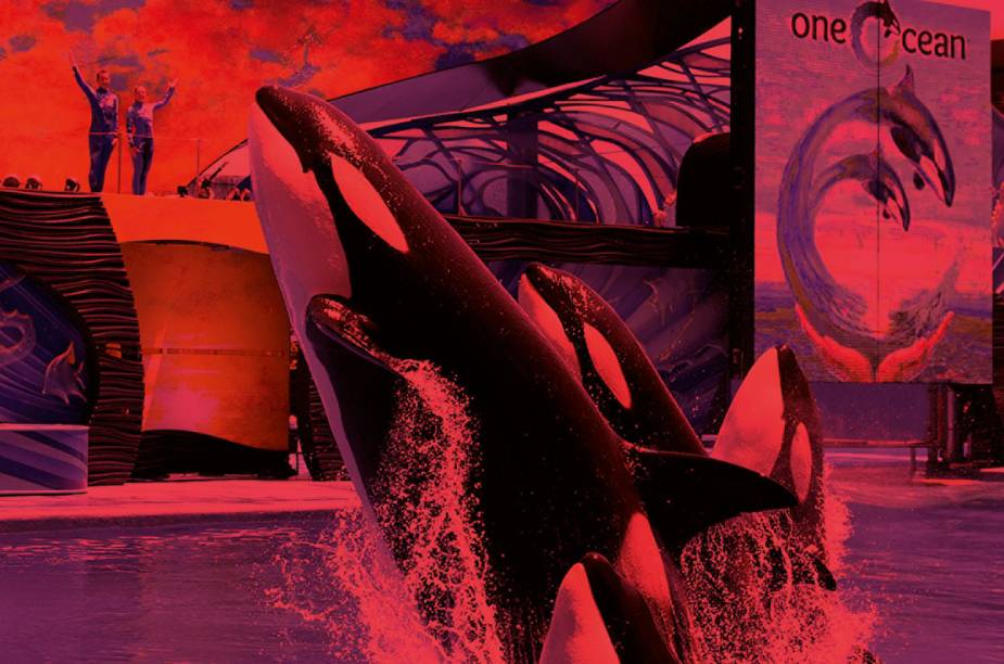 Show da Shamu Show da Shamu