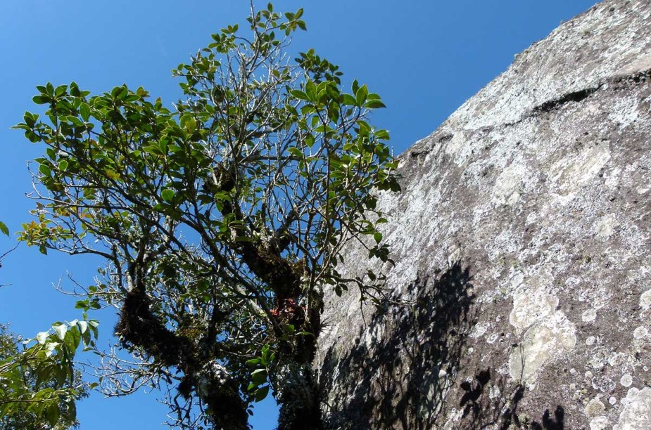 Detalhe da rocha no fim da trilha