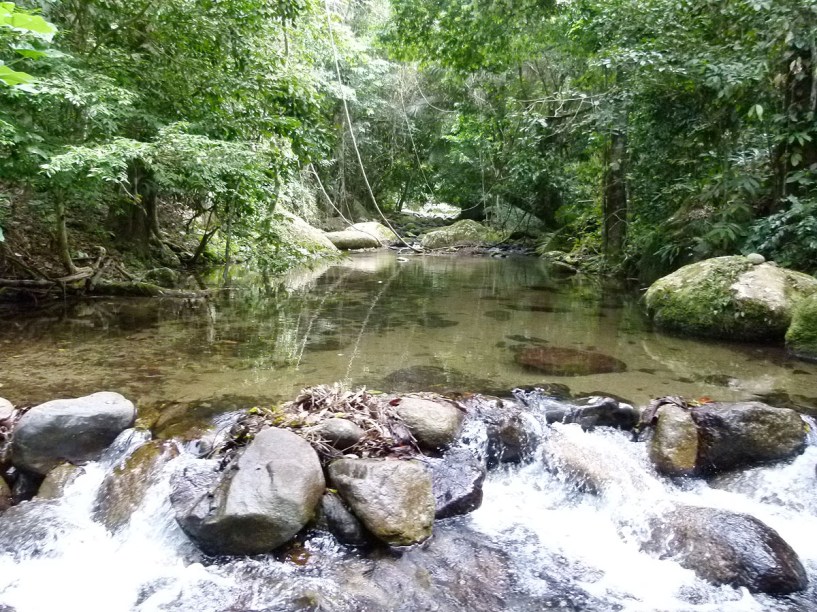 Um dos riachos que cruzam a estrada da trilha para a <strong>praia Castelhanos</strong>; apesar da pequena barragem de pedras, é impossível passar por ele em um carro de passeio