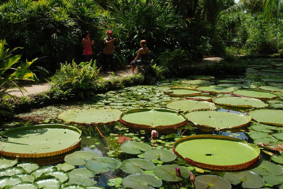 <strong>5. <a href="https://viajeaqui.abril.com.br/cidades/br-pa-belem" rel="Belém " target="_blank">Belém </a></strong>A capital do <a href="https://viajeaqui.abril.com.br/estados/br-para" rel="Pará" target="_blank">Pará</a> difere bastante das antecessoras na lista. Suas principais atrações têm uma pegada mais amazônica. Em um final de semana, é possível conhecer o <a href="https://viajeaqui.abril.com.br/estabelecimentos/br-pa-belem-atracao-mercado-ver-o-peso" rel="Mercado Ver-o-Peso" target="_blank">Mercado Ver-o-Peso</a>, o <a href="https://viajeaqui.abril.com.br/estabelecimentos/br-pa-belem-atracao-forte-do-presepio" rel="Forte do Presépio" target="_blank">Forte do Presépio</a>, o <a href="https://viajeaqui.abril.com.br/estabelecimentos/br-pa-belem-restaurante-remanso-do-bosque" rel="Remanso do Bosque" target="_blank">Remanso do Bosque</a> e o <a href="https://viajeaqui.abril.com.br/estabelecimentos/br-pa-belem-atracao-parque-zoobotanico-museu-paraense-emilio-goeldi" rel="Parque Emílio Goeldi" target="_blank">Parque Emílio Goeldi</a>.Saiba mais detalhes em um roteiro de <a href="https://viajeaqui.abril.com.br/materias/48-horas-em-belem-do-para" rel="48 horas em Belém do Pará" target="_blank"><strong>48 horas em Belém do Pará</strong></a> <strong>5. <a href="https://viajeaqui.abril.com.br/cidades/br-pa-belem" rel="Belém " target="_blank">Belém </a></strong>A capital do <a href="https://viajeaqui.abril.com.br/estados/br-para" rel="Pará" target="_blank">Pará</a> difere bastante das antecessoras na lista. Suas principais atrações têm uma pegada mais amazônica. Em um final de semana, é possível conhecer o <a href="https://viajeaqui.abril.com.br/estabelecimentos/br-pa-belem-atracao-mercado-ver-o-peso" rel="Mercado Ver-o-Peso" target="_blank">Mercado Ver-o-Peso</a>, o <a href="https://viajeaqui.abril.com.br/estabelecimentos/br-pa-belem-atracao-forte-do-presepio" rel="Forte do Presépio" target="_blank">Forte do Presépio</a>, o <a href="https://viajeaqui.abril.com.br/estabelecimentos/br-pa-belem-restaurante-remanso-do-bosque" rel="Remanso do Bosque" target="_blank">Remanso do Bosque</a> e o <a href="https://viajeaqui.abril.com.br/estabelecimentos/br-pa-belem-atracao-parque-zoobotanico-museu-paraense-emilio-goeldi" rel="Parque Emílio Goeldi" target="_blank">Parque Emílio Goeldi</a>.Saiba mais detalhes em um roteiro de <a href="https://viajeaqui.abril.com.br/materias/48-horas-em-belem-do-para" rel="48 horas em Belém do Pará" target="_blank"><strong>48 horas em Belém do Pará</strong></a>