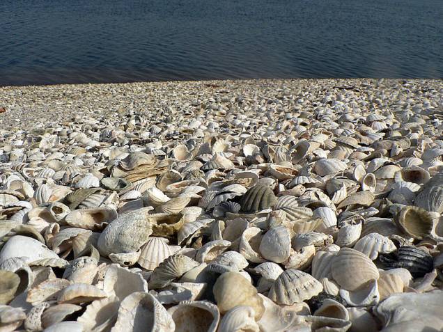 <strong>Delta do Saloum (Senegal)</strong><br />O Delta do Saloum é formado por cerca de 200 ilhas, braços de rios, florestas, além de muitas conchas(foto) de moluscos nas margens dos rios <strong>Delta do Saloum (Senegal)</strong><br />O Delta do Saloum é formado por cerca de 200 ilhas, braços de rios, florestas, além de muitas conchas(foto) de moluscos nas margens dos rios