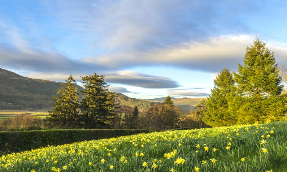 <strong>27. Penmaenpool Forest, <a href="https://viajeaqui.abril.com.br/paises/pais-de-gales" rel="País de Gales" target="_self">País de Gales</a> </strong> A região foi originada como uma vila que funcionava como um terraço para trabalhadores rurais e incluía uma fazenda e uma estação ferroviária – tudo isso para servir à Penmaenuchaf Hall, residência de um importante empresário de Lancashire. Hoje, a floresta é permeada por trilhas para passeios de bicicleta, tendo ao seu redor cenários coloridos e muito tranquilos. Se o visitante deseja um passeio diferente, a boa pedida é explorar os resquícios da atividade militar do local, datadas do século 20. <strong>27. Penmaenpool Forest, <a href="https://viajeaqui.abril.com.br/paises/pais-de-gales" rel="País de Gales" target="_self">País de Gales</a> </strong> A região foi originada como uma vila que funcionava como um terraço para trabalhadores rurais e incluía uma fazenda e uma estação ferroviária – tudo isso para servir à Penmaenuchaf Hall, residência de um importante empresário de Lancashire. Hoje, a floresta é permeada por trilhas para passeios de bicicleta, tendo ao seu redor cenários coloridos e muito tranquilos. Se o visitante deseja um passeio diferente, a boa pedida é explorar os resquícios da atividade militar do local, datadas do século 20.