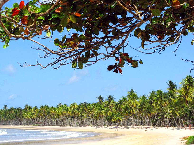 <strong>Praia da Cueira, Ilha de Boipeba</strong> O mar tranquilo dá à praia o título de melhor trecho para banho em toda a Ilha de Boipeba. Ao longo de sua faixa de areia, fica a Barraca do Guido, que prepara a lagosta mais famosa da região. Costões e pedras ocupam as laterais da orla. <a href="https://www.booking.com/searchresults.pt-br.html?aid=332455&sid=605c56653290b80351df808102ac423d&sb=1&src=searchresults&src_elem=sb&error_url=https%3A%2F%2Fwww.booking.com%2Fsearchresults.pt-br.html%3Faid%3D332455%3Bsid%3D605c56653290b80351df808102ac423d%3Bclass_interval%3D1%3Bdest_id%3D900050228%3Bdest_type%3Dcity%3Bdtdisc%3D0%3Bfrom_sf%3D1%3Bgroup_adults%3D2%3Bgroup_children%3D0%3Binac%3D0%3Bindex_postcard%3D0%3Blabel_click%3Dundef%3Bno_rooms%3D1%3Boffset%3D0%3Bpostcard%3D0%3Braw_dest_type%3Dcity%3Broom1%3DA%252CA%3Bsb_price_type%3Dtotal%3Bsearch_selected%3D1%3Bsrc%3Dindex%3Bsrc_elem%3Dsb%3Bss%3DPraia%2520do%2520Espelho%252C%2520Bahia%252C%2520Brasil%3Bss_all%3D0%3Bss_raw%3DPraia%2520do%2520Espelho%3Bssb%3Dempty%3Bsshis%3D0%26%3B&ss=Ilha+de+Boipeba%2C+Bahia%2C+Brasil&ssne=Praia+do+Espelho&ssne_untouched=Praia+do+Espelho&city=900050228&checkin_monthday=&checkin_month=&checkin_year=&checkout_monthday=&checkout_month=&checkout_year=&group_adults=2&group_children=0&no_rooms=1&from_sf=1&ss_raw=Ilha+de+Boipeba&ac_position=0&ac_langcode=xb&dest_id=-678564&dest_type=city&place_id_lat=-13.6167&place_id_lon=-38.9333&search_pageview_id=32f5912e29a800a2&search_selected=true&search_pageview_id=32f5912e29a800a2&ac_suggestion_list_length=5&ac_suggestion_theme_list_length=0" target="_blank" rel="noopener"><em>Busque hospedagens na Ilha de Boipeba </em></a>