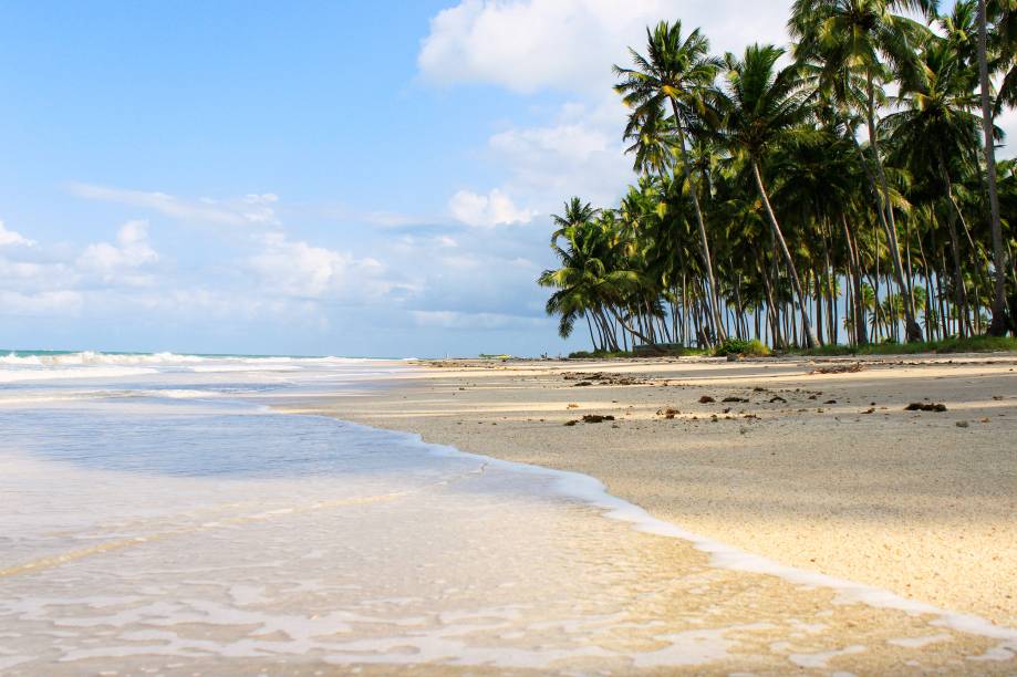 A <a href="https://viajeaqui.abril.com.br/estabelecimentos/br-pe-tamandare-atracao-dos-carneiros" rel="Praia dos Carneiros" target="_blank">Praia dos Carneiros</a> é o ponto alto de Tamandaré, no sul do litoral pernambucano