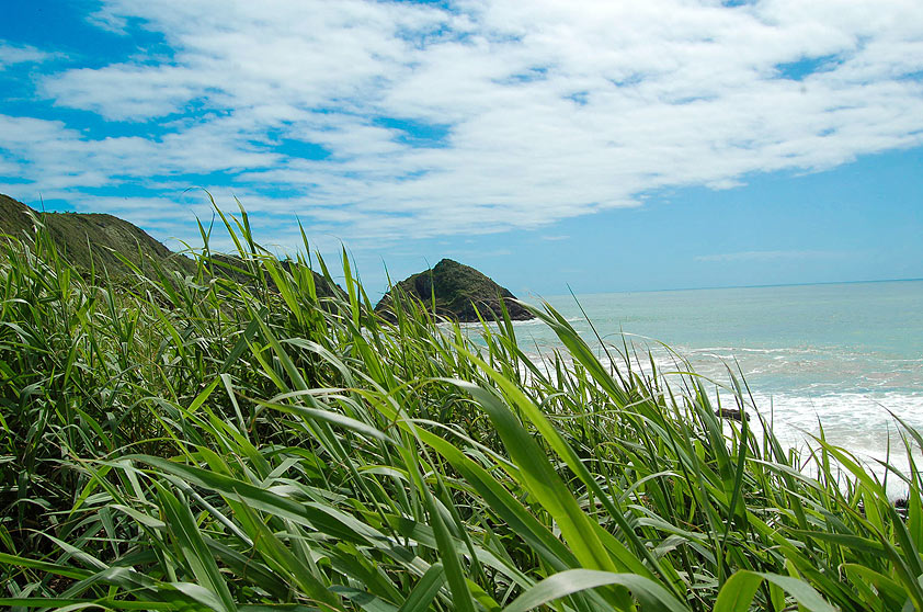 Praia Vermelha na cidade de Penha, Santa Catarina