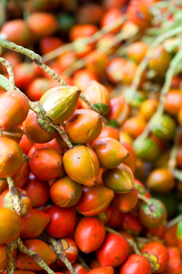 Um dos ingredientes mais valorizados da região é o pupunha, que pode ser visto na feira do Mercado Ver-o-Peso Um dos ingredientes mais valorizados da região é o pupunha, que pode ser visto na feira do Mercado Ver-o-Peso