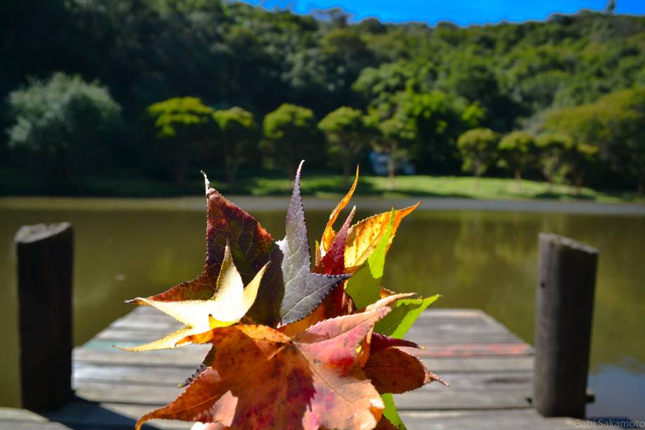 Lago do Estrela da Serra Hotel Fazenda, com área de lazer e quartos adequados para famílias com crianças