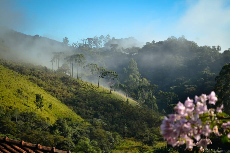 Montanhas e araucárias em paisagem típica da Serra da Mantiqueira, em Santo Antônio do Pinhal