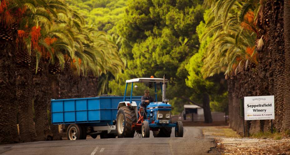A Seppeltsfield Wines é um das muitas boas vinícolas na região de Barossa Valley A Seppeltsfield Wines é um das muitas boas vinícolas na região de Barossa Valley