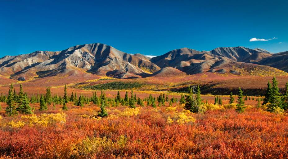 Cobrindo uma área de aproximadamente 25 mil km², o <strong>Denali National Park</strong> oferece cenários bem relaxantes aos turistas. A bela paisagem acima é vista do outono. Apesar disso, as caminhadas por suas trilhas são mais tranquilas no verão, graças às temperaturas<em><a href="https://www.booking.com/searchresults.pt-br.html?aid=306397;label=denali-national-park-fkJUUdMB5DgWx0aZkRUORQS15138313709%3Apl%3Ata%3Ap15%3Ap2%3Aac%3Aap1t2%3Aneg;sid=5b28d827ef00573fdd3b49a282e323ef;dcid=1;city=900039087;hyb_red=1;redirected=1;redirected_from_city=1;source=city;src=city&?aid=332455&label=viagemabril-paisagens-do-alasca" rel="Veja preços de hotéis próximos ao Denali National Park no Booking.com" target="_blank">Veja preços de hotéis próximos ao Denali National Park no Booking.com</a></em>