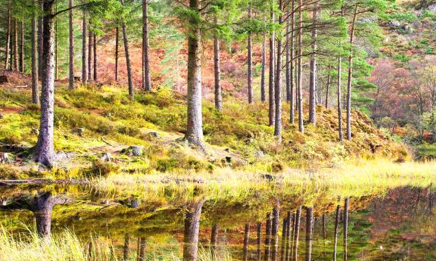 <strong>11. Loch Lomond & Trossachs National Park, <a href="https://viajeaqui.abril.com.br/paises/escocia" rel="Escócia" target="_self">Escócia</a> </strong> Grande parte da vida selvagem escocesa se concentra nessa área, habitada por lontras, cervos, águias marinhas e outras espécies únicas. Sua área, distante a apenas uma hora de 50% da população do país, abriga belas montanhas e rios. Há comunidades rurais em seu entorno, bem como moradores solícitos que complementam as atividades locais – que também inclui caminhadas, passeios a cavalo e escaladas. <strong>11. Loch Lomond & Trossachs National Park, <a href="https://viajeaqui.abril.com.br/paises/escocia" rel="Escócia" target="_self">Escócia</a> </strong> Grande parte da vida selvagem escocesa se concentra nessa área, habitada por lontras, cervos, águias marinhas e outras espécies únicas. Sua área, distante a apenas uma hora de 50% da população do país, abriga belas montanhas e rios. Há comunidades rurais em seu entorno, bem como moradores solícitos que complementam as atividades locais – que também inclui caminhadas, passeios a cavalo e escaladas.