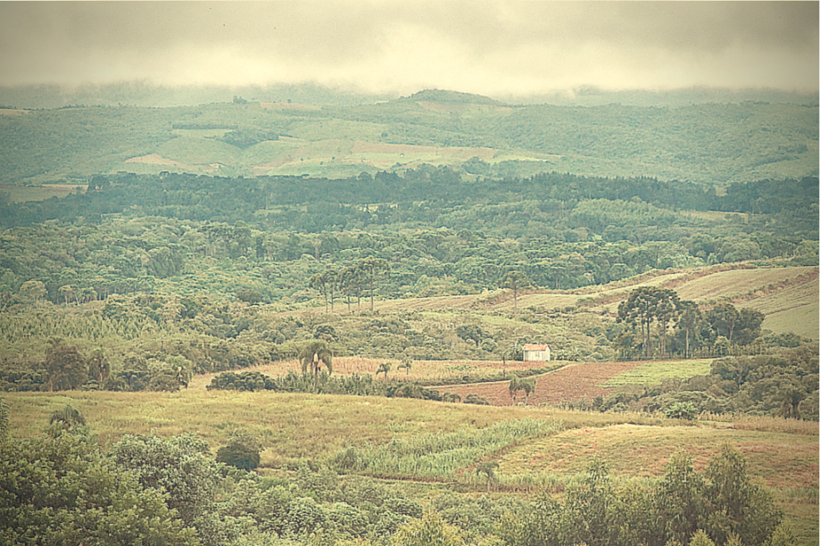 <strong>7. Prudentópolis (PR)</strong>                                        Os ucranianos que se estabeleceram em Prudentópolis vieram da região da Galícia e trouxeram com eles a cultura do leste europeu; as casas das fazendas da região também são inspiradas na arquitetura de lá