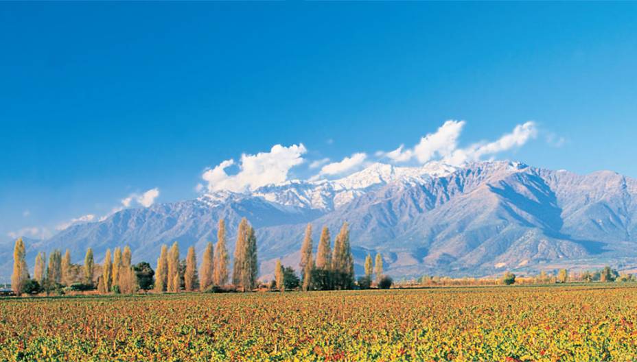 Paisagem andina nos limites da <strong>Concha y Toro</strong>, no Vale de Maipo